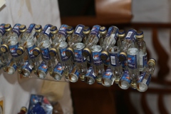 Diplomatengang-2015-172