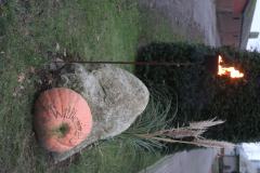 th_Diplomatengang-2017-144