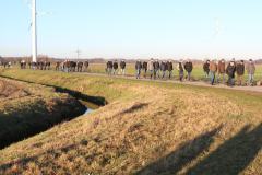 th_IMG_8871