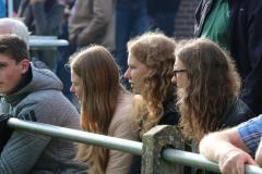 th_IMG_4337