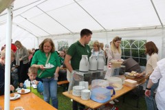 kompaniefussball_2024-5424