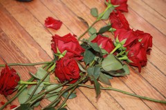 schuetzenball_2025_276