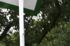 089SO