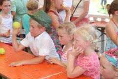 2014_schuetzenfest_126