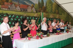 2014_schuetzenfest_345