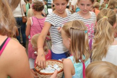 0718_schuetzenfest2015_072