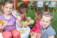 0718_schuetzenfest2015_073