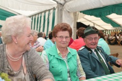 0718_schuetzenfest2015_180