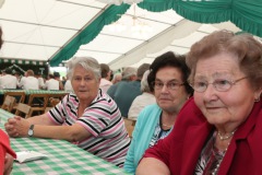 0718_schuetzenfest2015_183