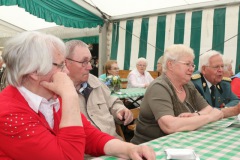 0718_schuetzenfest2015_188