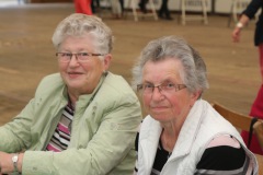 0718_schuetzenfest2015_190