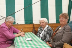 0718_schuetzenfest2015_194