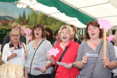 0718_schuetzenfest2015_223