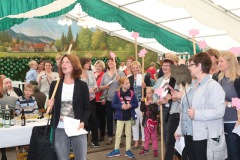 0718_schuetzenfest2015_232