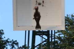 0718_schuetzenfest2015_254