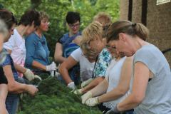 th_IMG_7484