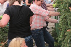 th_IMG_7501